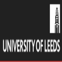 School of Electronic and Electrical Engineering Undergraduate International Excellence Scholarships in UK